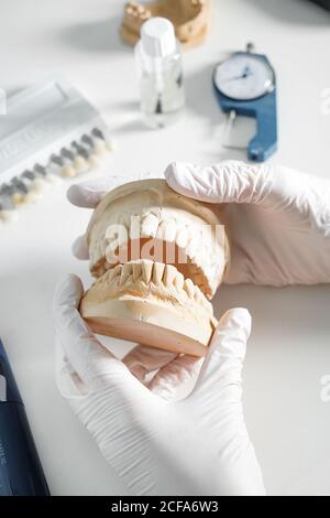 From above of crop anonymous dentist in medical gloves working with dental prosthesis in modern laboratory Stock Photo