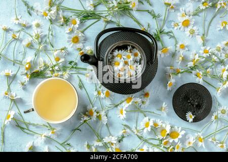 From above pot of chamomile tea served on rustic mug with fresh flowers on blue background Stock Photo