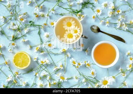 From above chamomile tea served with fresh flowers on blue background Stock Photo