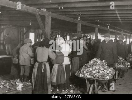 Shucking oysters in the Alabama Canning Company Stock Photo