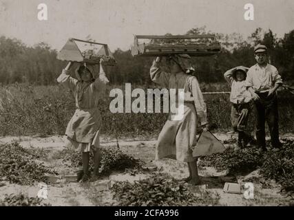 The girl berry carriers on Newton's Farm at Cannon, Del. Stock Photo