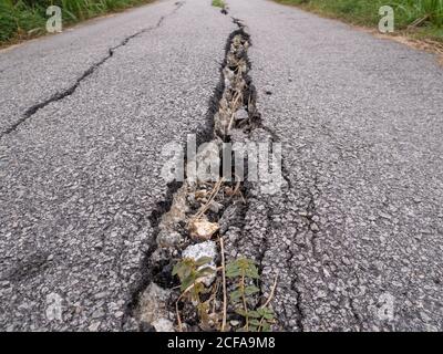 Closeup on cracked asphalt in the middle of  a field Stock Photo