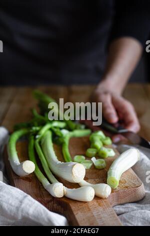 Cropped Woman hands with knife and bunch of ripe scallions placed on wooden cutting board and cloth napkin on rustic table in kitchen Stock Photo