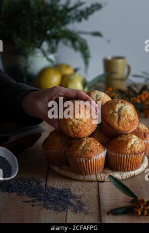 Appetizing fresh baked cupcakes on wicker stand on wooden table decorated with berries lemon and poppy seed for baking Stock Photo