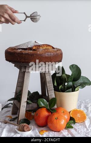 Crop anonymous person pouring sugar powder with metal round tea strainer above fresh appetizing cake on wooden stool surrounded by orange ripe tangerine and green plant in pot Stock Photo