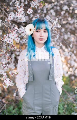 Millennial female model with white flower in blue hair dressed in trendy gray overall standing against blooming sakura tree in garden Stock Photo