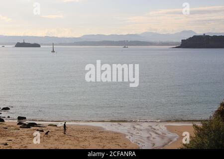 Man walking and playing with a black dog on the Molinucos beach Santander Cantabria Spain Stock Photo