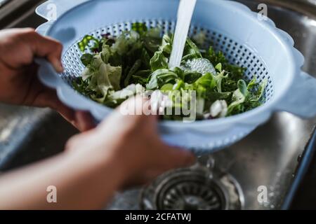 Hands of anonymous kid washing fresh herbs in sieve under clean water while making salad in kitchen Stock Photo