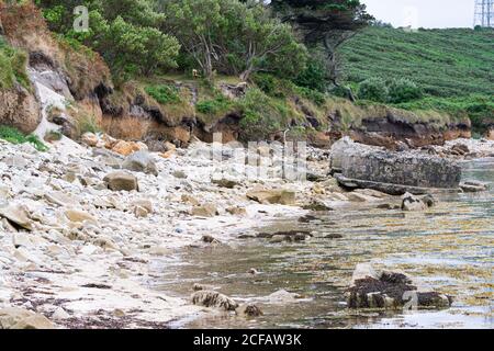 A damaged Type 24 pillbox on the beach at Bar Point, St Mary's, Isles of Scilly Stock Photo