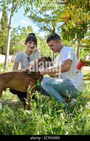 Couple with their dog Boxer sitting in a park on a sunny day Stock Photo