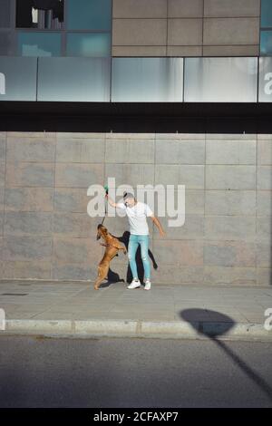 man running and playing with his dog Boxer in a park Stock Photo
