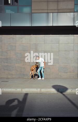 man running and playing with his dog Boxer in a park Stock Photo