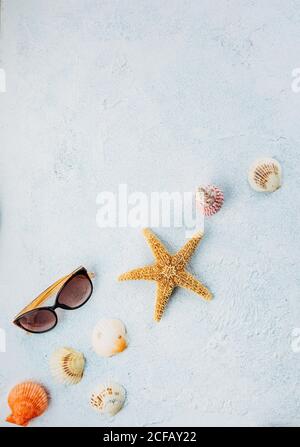Top view of trendy sunglasses near dried starfish and small seashells on plaster surface on summer day Stock Photo