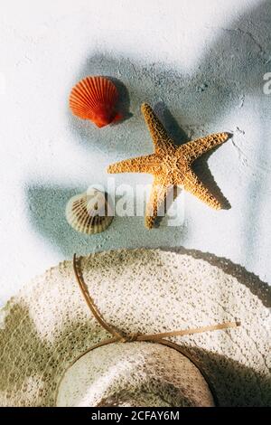 Trendy hat near seashells and starfish for summer vacation concept on plaster surface Stock Photo