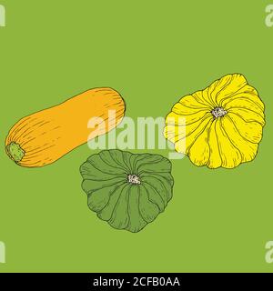 Set ripe juicy yellow zucchini and yellow and green patisson iso Stock Vector