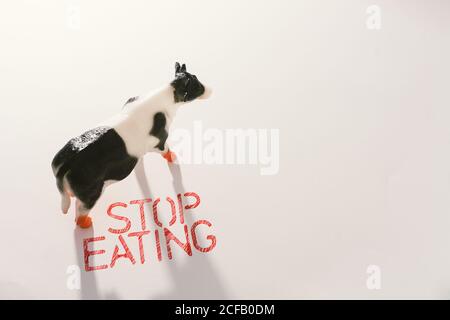 From above small plastic figurine of cow against white background with red slogan calling to stop killing animals for eating Stock Photo