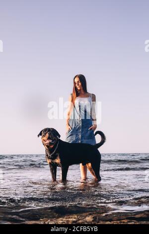 Happy young Woman in casual clothes standing in water on seashore with big black dog and looking away while spending time in evening Stock Photo