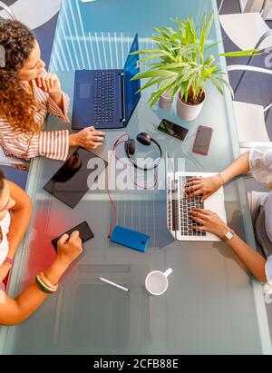 faceless colleagues working at laptops in office Stock Photo
