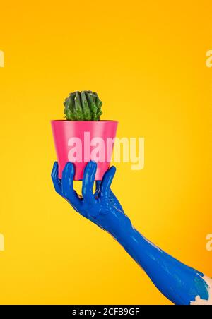 faceless person with blue painted hand demonstrating flowerpot with green prickly cactus in studio on yellow background Stock Photo