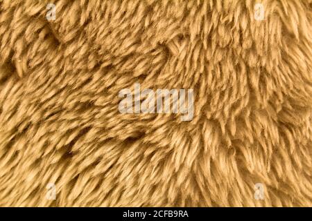 light white fur texture Stock Photo