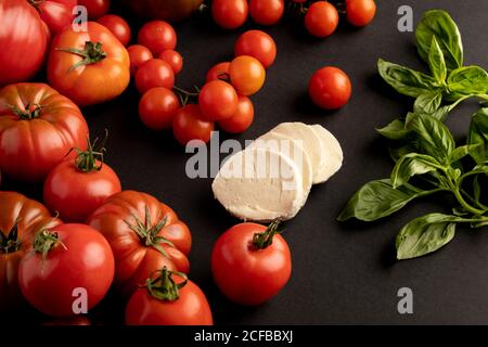 Bunch of ripe red tomatoes and basil leaves for salad placed on black background near slices of fresh mozzarella cheese Stock Photo