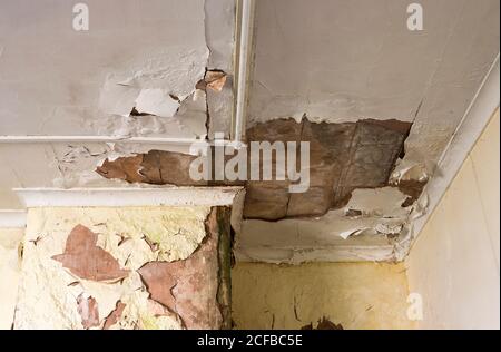 Flood damaged wall and ceiling Stock Photo
