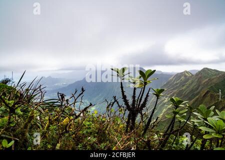 The view from Stairway to Heaven on Oahu, Hawaii Stock Photo