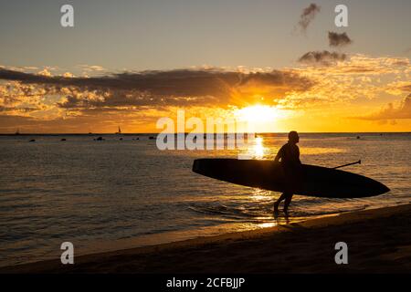 Carrying in stand up paddle board at sunset Stock Photo