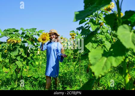 beautiful girl wear straw summer hat in field. pretty kid with flower. beauty of summer nature. little girl in sunflower field. yellow flower of sunflower. happy childhood. Beautiful paradise Stock Photo