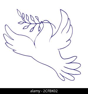 Pigeon with branch in beak, silhouette of bird, blue contour, is Stock Vector