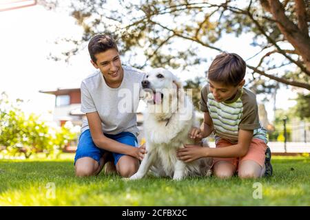 Two boys playing with their dog in the garden Stock Photo