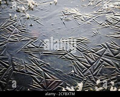 Frozen ice cream with pattern Stock Photo
