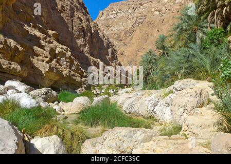 Arabia, Arabian Peninsula, Sultanate of Oman, Wadi Tiwi Stock Photo