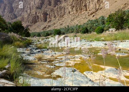 Arabia, Arabian Peninsula, Sultanate of Oman, Wadi Tiwi Stock Photo