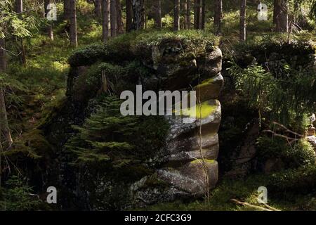 Stacked rocks covered with green grass and tree trunks growing in summer forest in Southern Poland Stock Photo