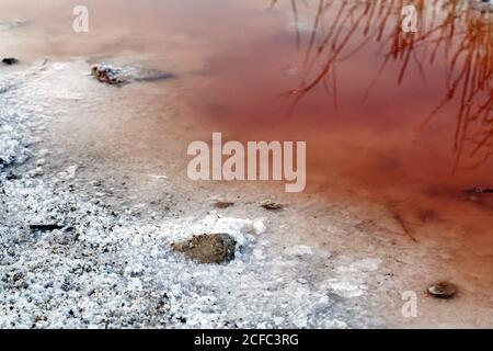 From above beautiful natural pool with salt crystals stones and grass reflected in pink water on daytime Stock Photo