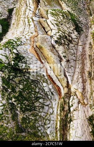 Beautiful green moss on rough stone Stock Photo