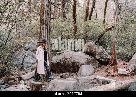Full length side view of young Woman in trendy outfit and hat standing near old tree and big stones in mountain forest in Yosemite National Park in California Stock Photo