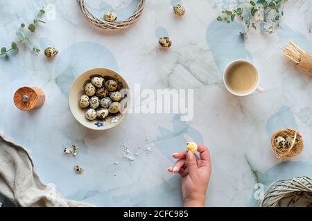Zero waste Easter background on marble table. Quail Easter eggs and natural Spring decorations, twigs and eucalyptus. Hand with peeled egg. Cofee in Stock Photo