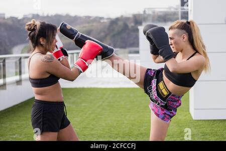 Side view of serious female fighters in protective equipment practicing high kick on green lawn against city Stock Photo