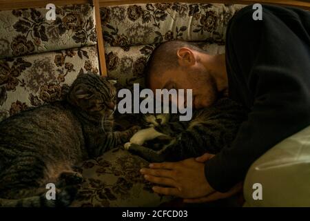 Young guy sleeping with cute cats while relaxing on ornamental couch at home Stock Photo