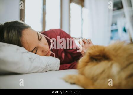 Young happy smiling attractive Woman in pajamas lying in bed with little fluffy dog Stock Photo