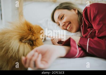 Young happy smiling attractive Woman in pajamas lying in bed with little fluffy dog Stock Photo