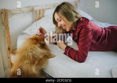 Young happy smiling attractive Woman in pajamas lying in bed with little fluffy dog Stock Photo