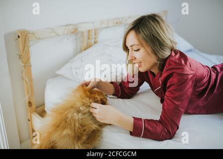 Young happy smiling attractive Woman in pajamas lying in bed with little fluffy dog Stock Photo