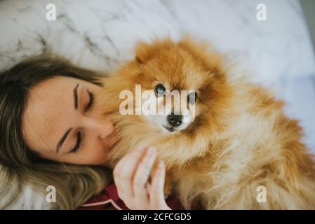 Young happy smiling attractive Woman in pajamas lying in bed with little fluffy dog Stock Photo