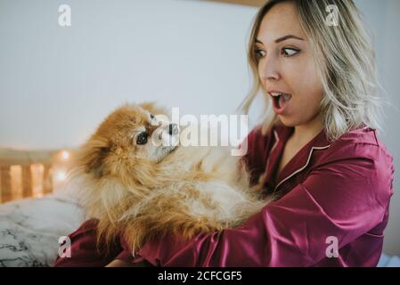 Young happy smiling attractive Woman in pajamas sitting in bed with little fluffy dog Stock Photo
