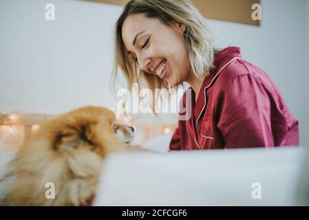 Young happy smiling attractive Woman in pajamas sitting in bed with little fluffy dog Stock Photo