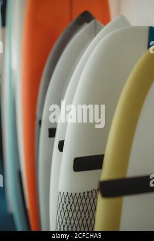 Variety of colorful surf and puddle boards arranged in row along wall and separated with black partitions Stock Photo