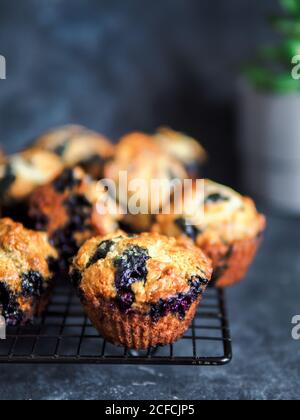 Homemade vegan blueberry muffins on cooling rack over dark background. Vertical. Copy space for text or design. Stock Photo